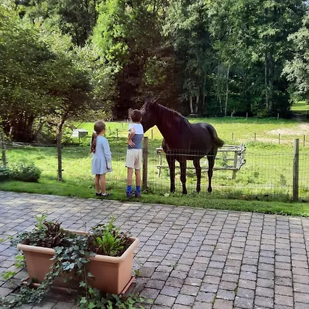 Ferienwohnung Au Coin Des Fagnes Jalhay Exterior foto