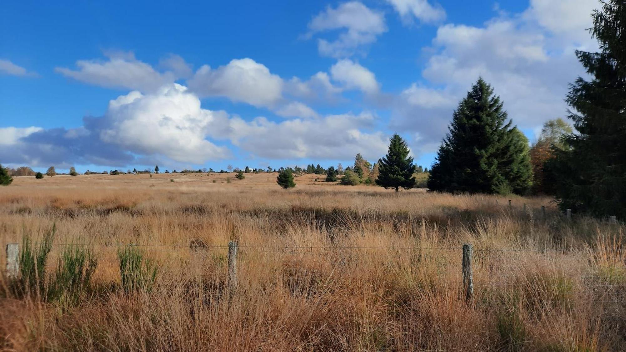 Au Coin Des Fagnes *