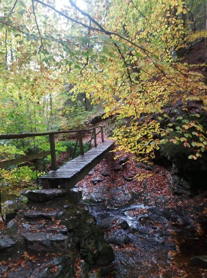 Au Coin Des Fagnes *
